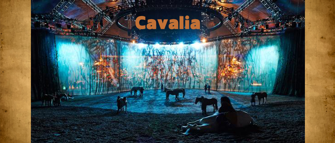 Cavalia — High Rigging production work, Lighting Crew Director